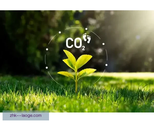 2026世界杯发布绿色低碳标准推动可持续发展目标助力全球环保行动